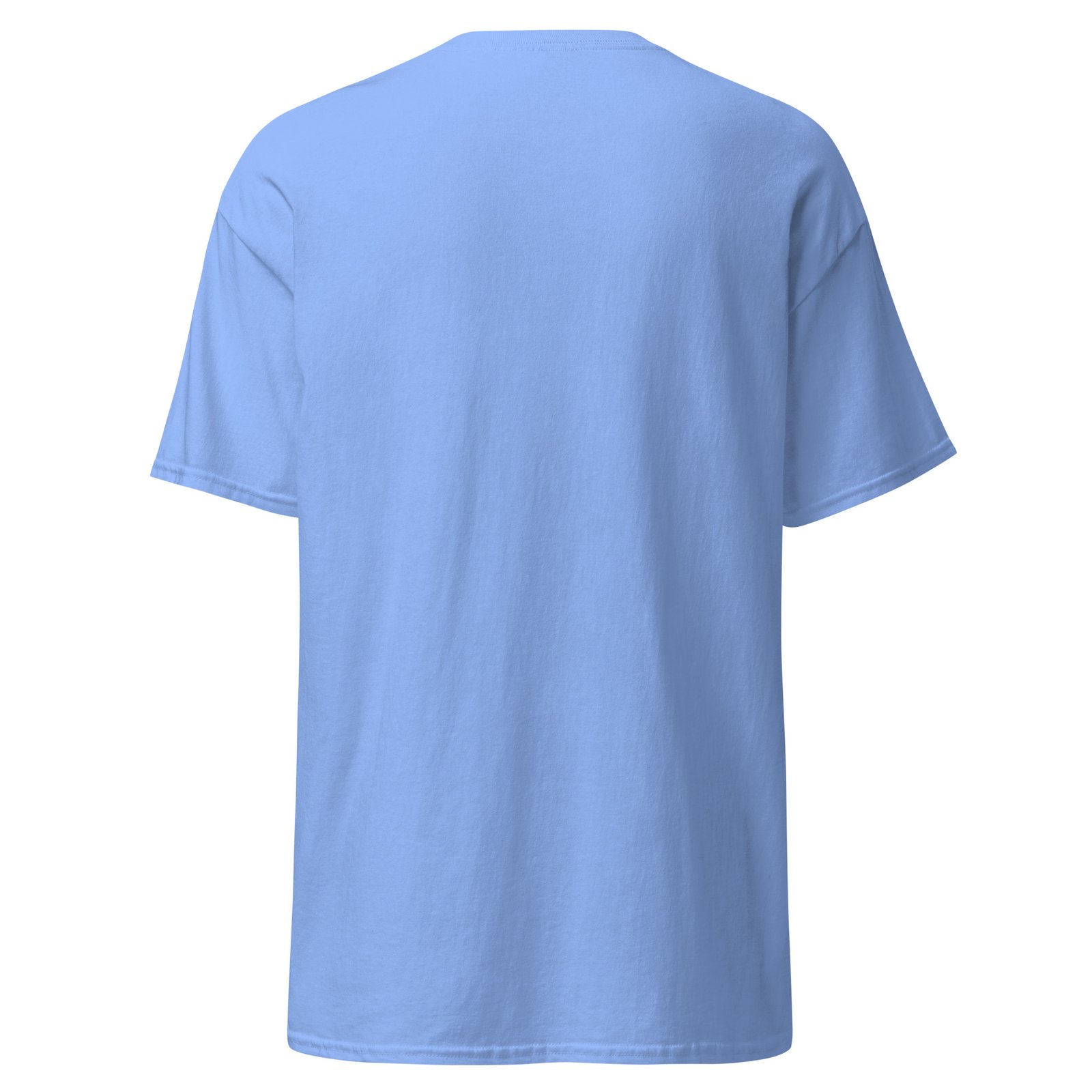 unisex-classic-tee-carolina-blue-back-691690e41b16a.jpg