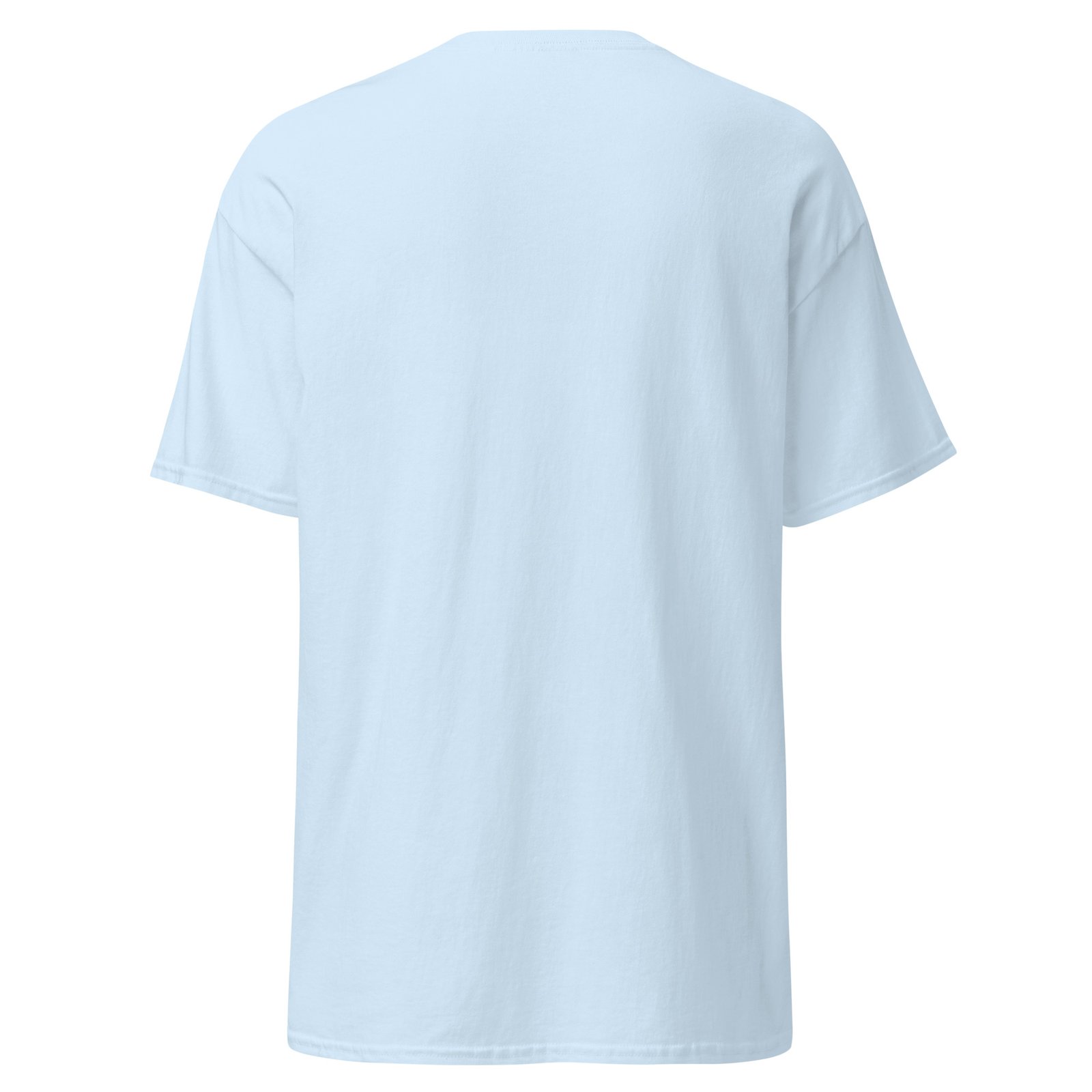 unisex-classic-tee-light-blue-back-691690e4c9537.jpg