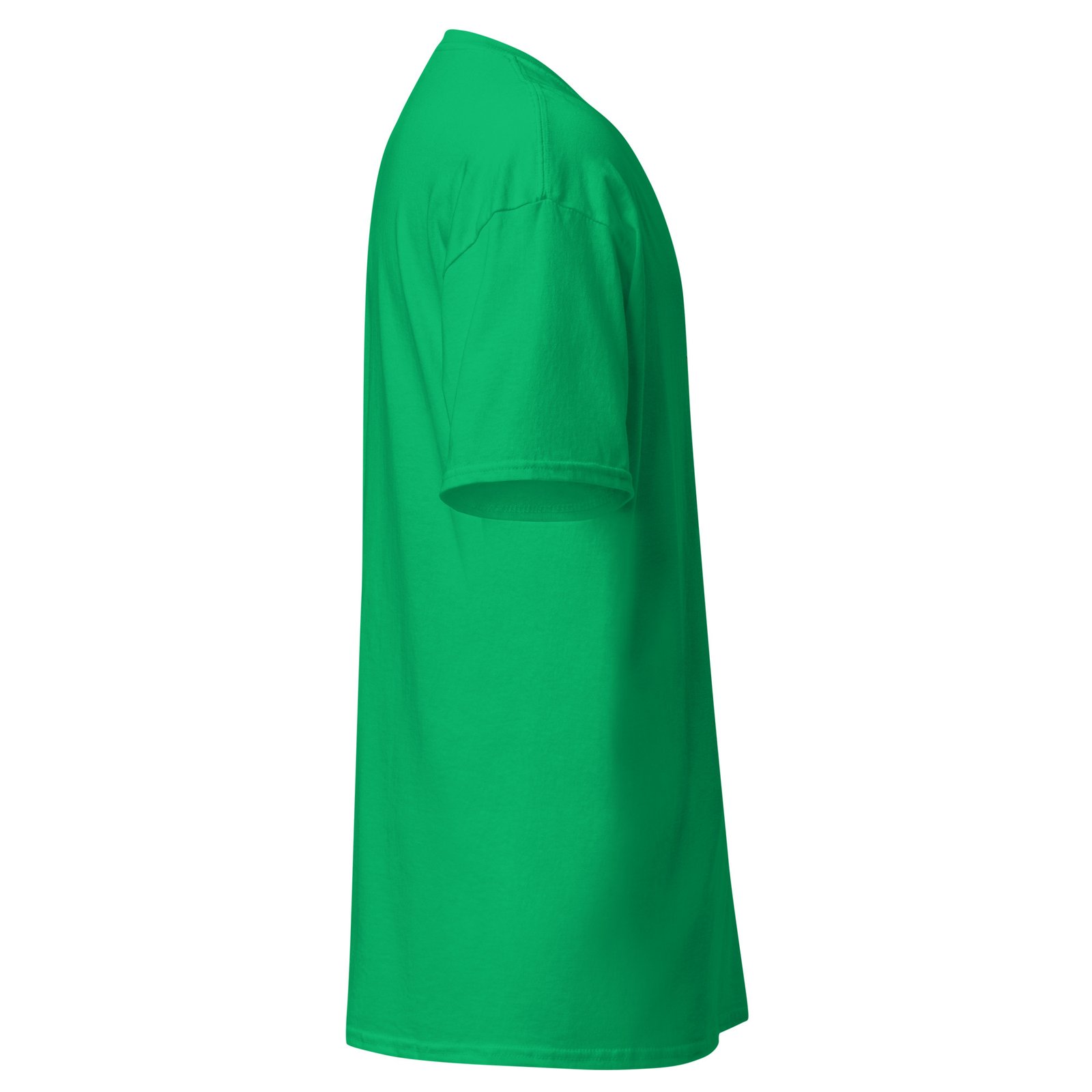 unisex-classic-tee-irish-green-right-6993d62cda382.jpg