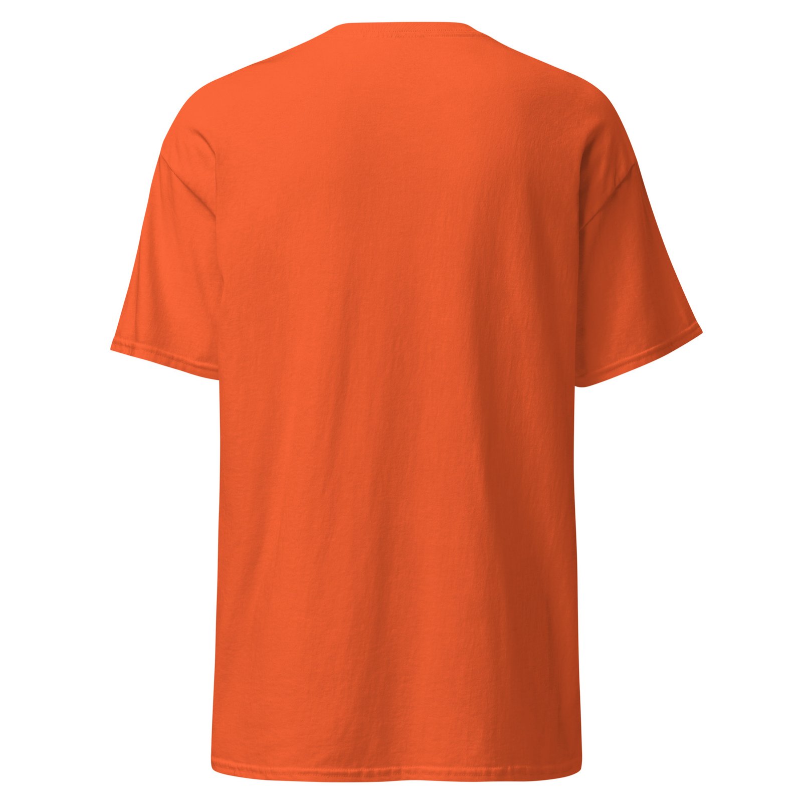 unisex-classic-tee-orange-back-6994c78530928.jpg