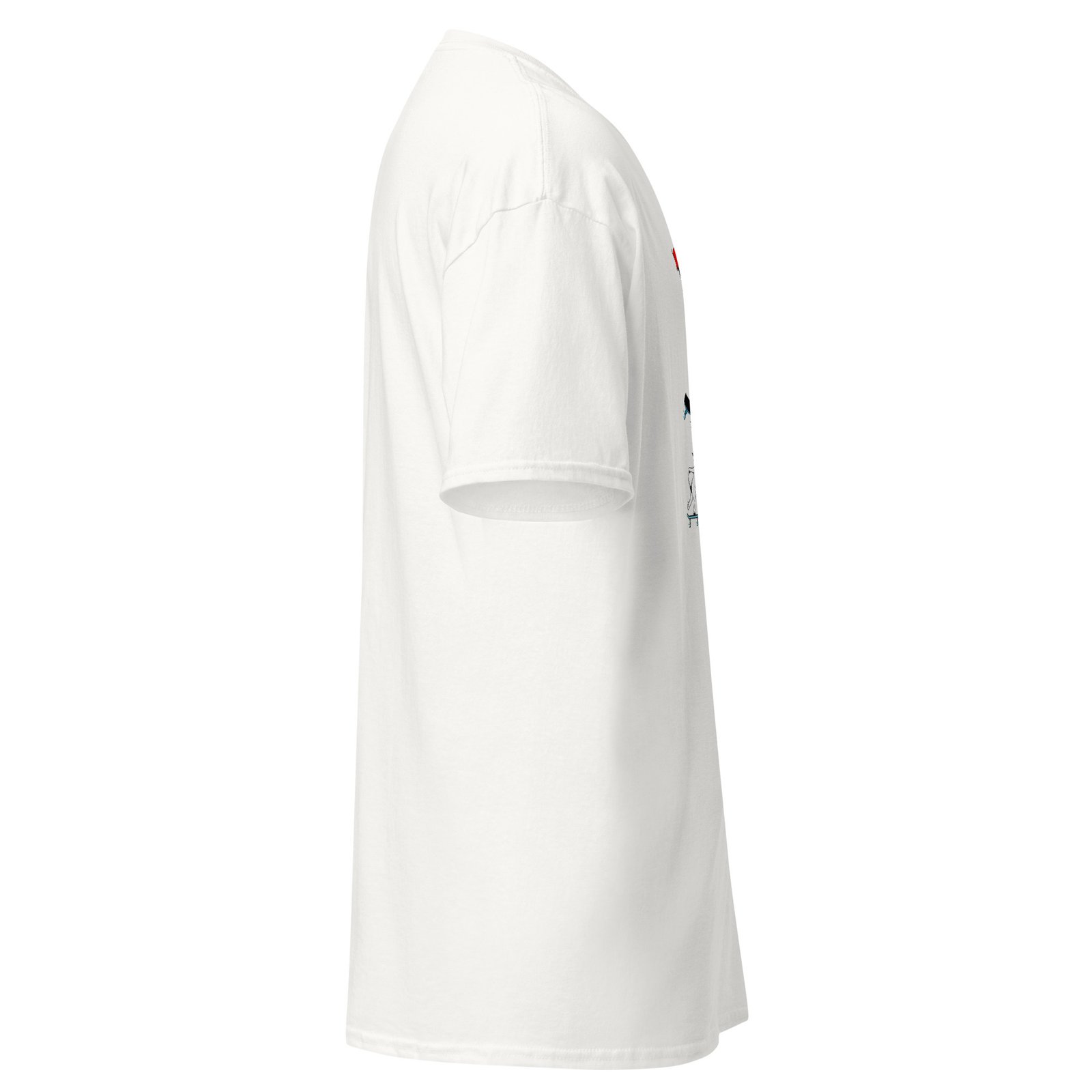 unisex-classic-tee-white-right-6a2751004994e.jpg