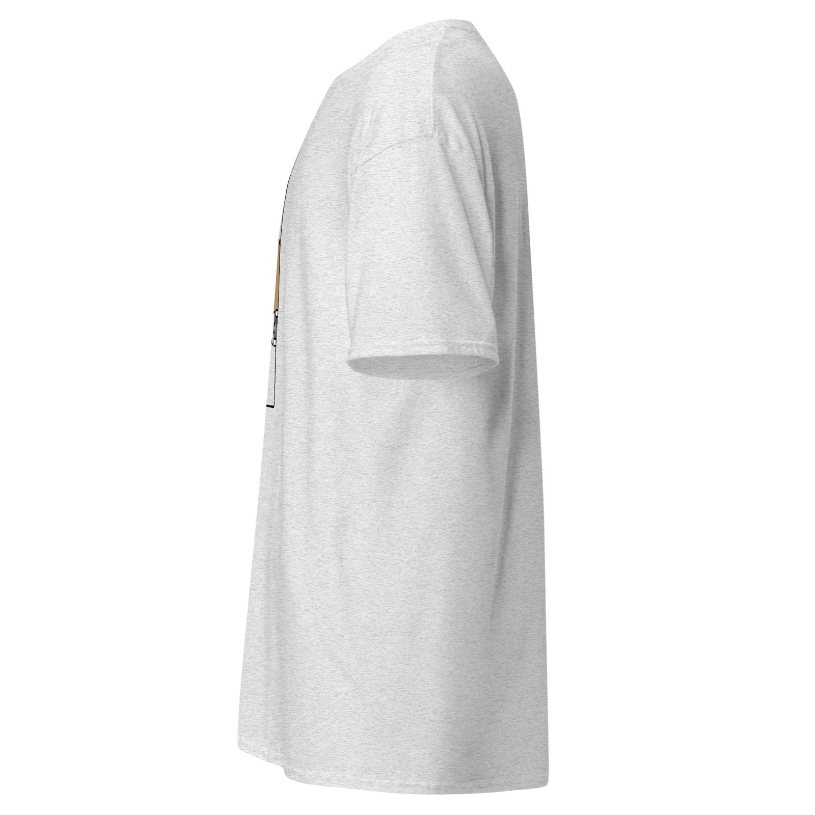 unisex-classic-tee-ash-left-6a752980aa311.jpg