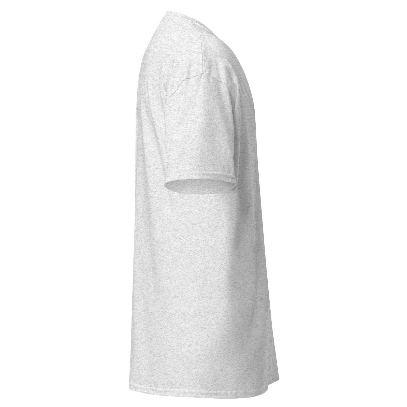 unisex-classic-tee-ash-right-6a752980acce5.jpg