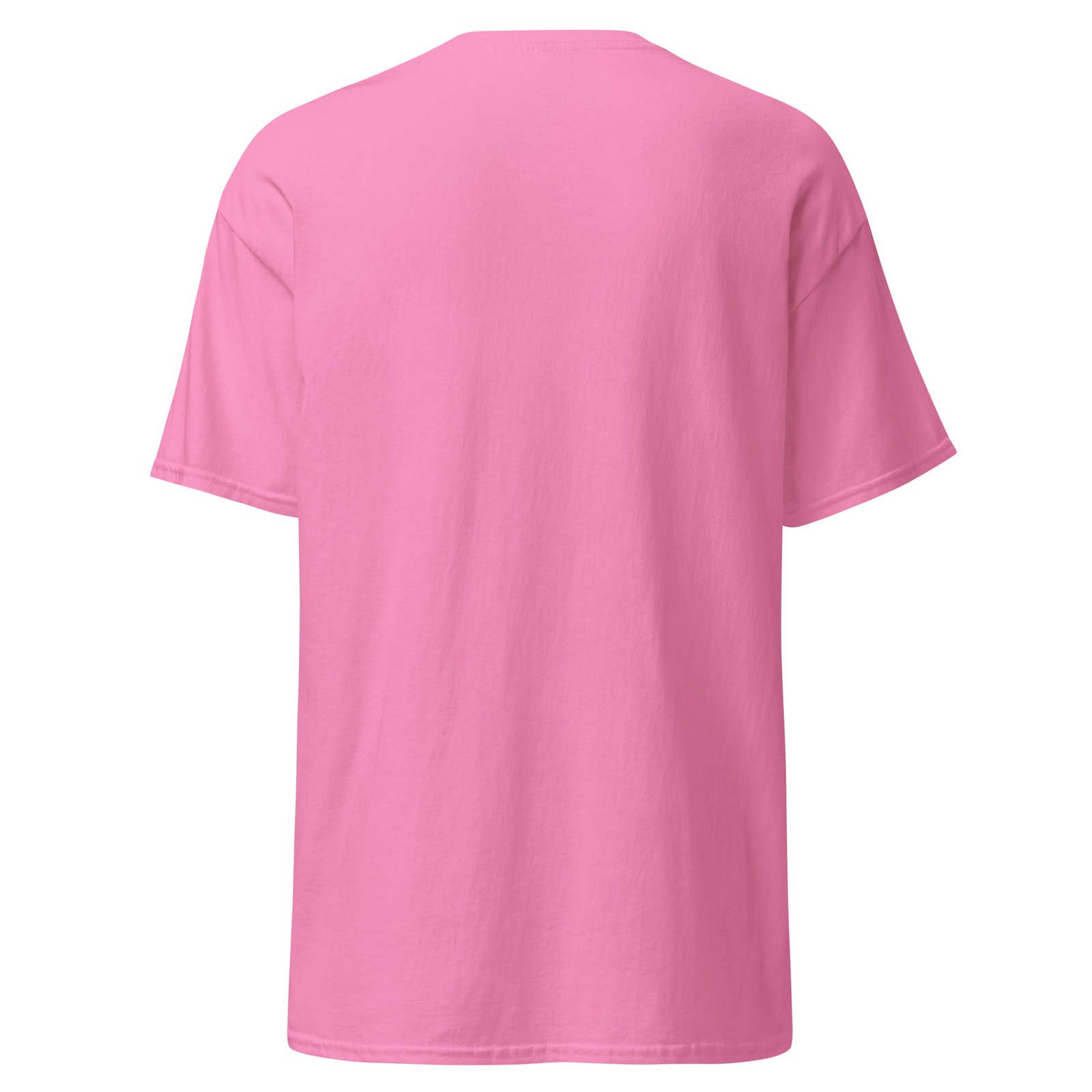 unisex-classic-tee-azalea-back-6a6fae3e51734.jpg