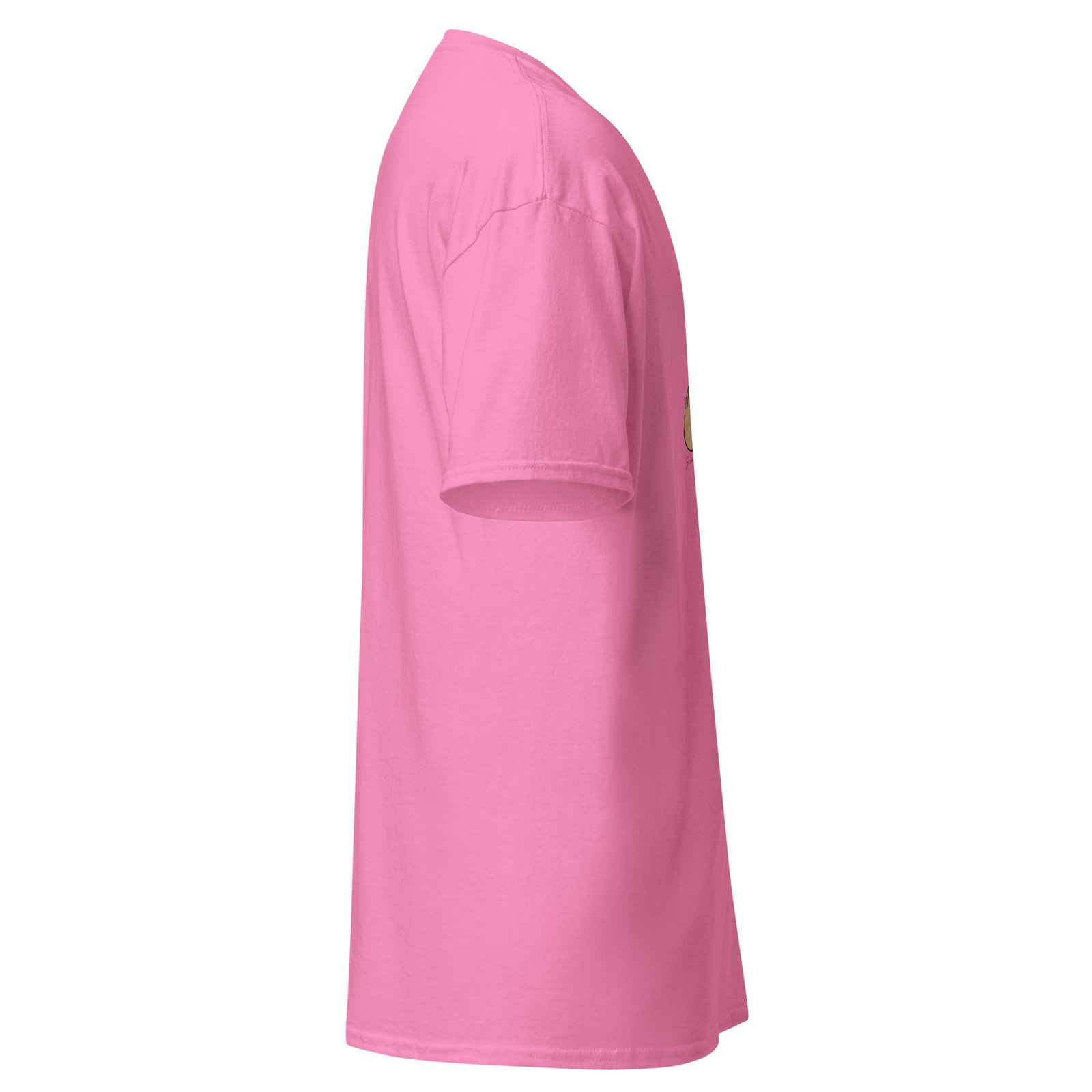 unisex-classic-tee-azalea-right-6a6fae3e539ad.jpg