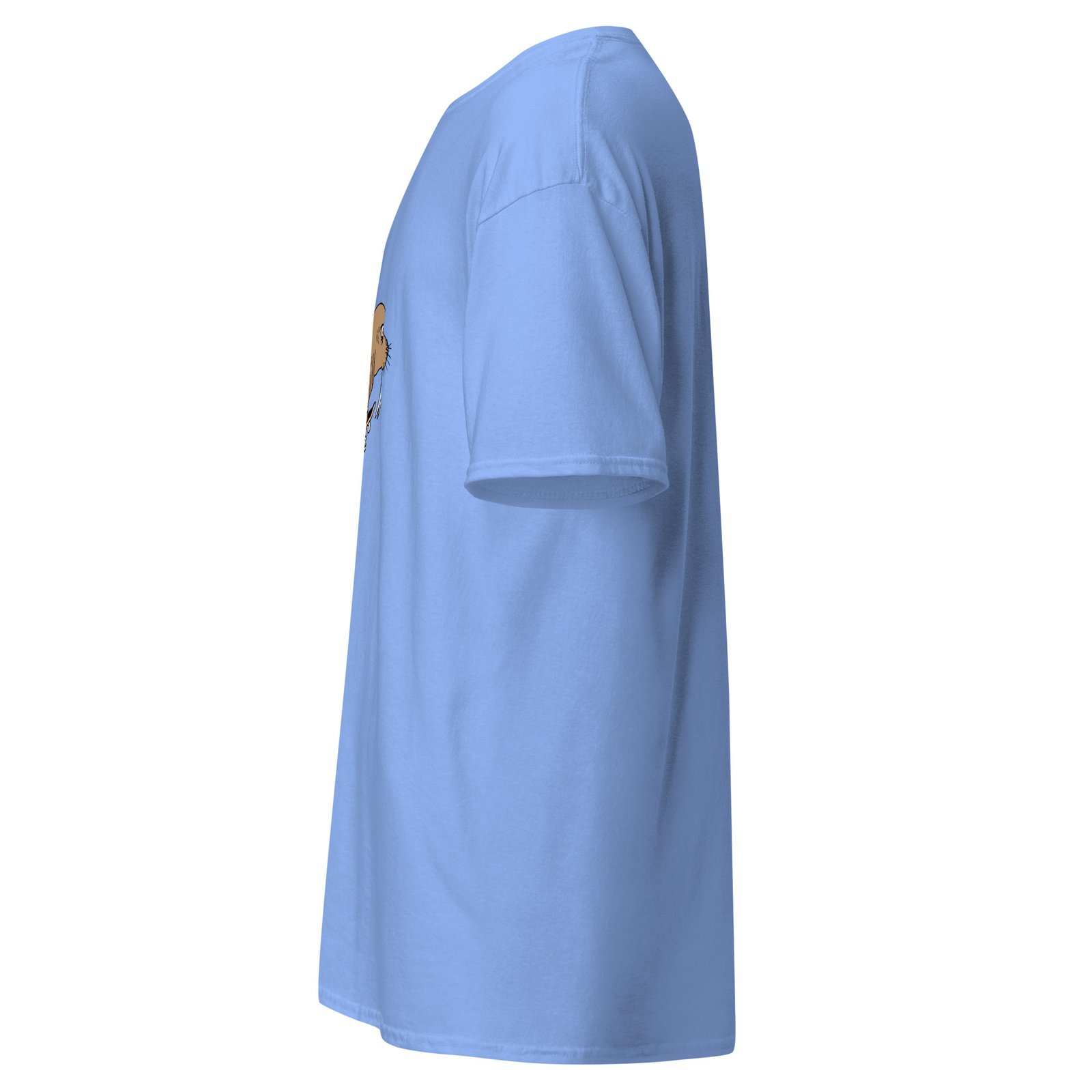 unisex-classic-tee-carolina-blue-left-6a6fae3e57518.jpg