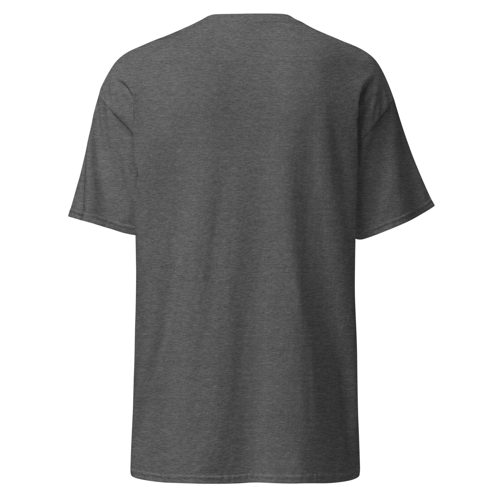 unisex-classic-tee-dark-heather-back-6a6fb4a77a84a.jpg