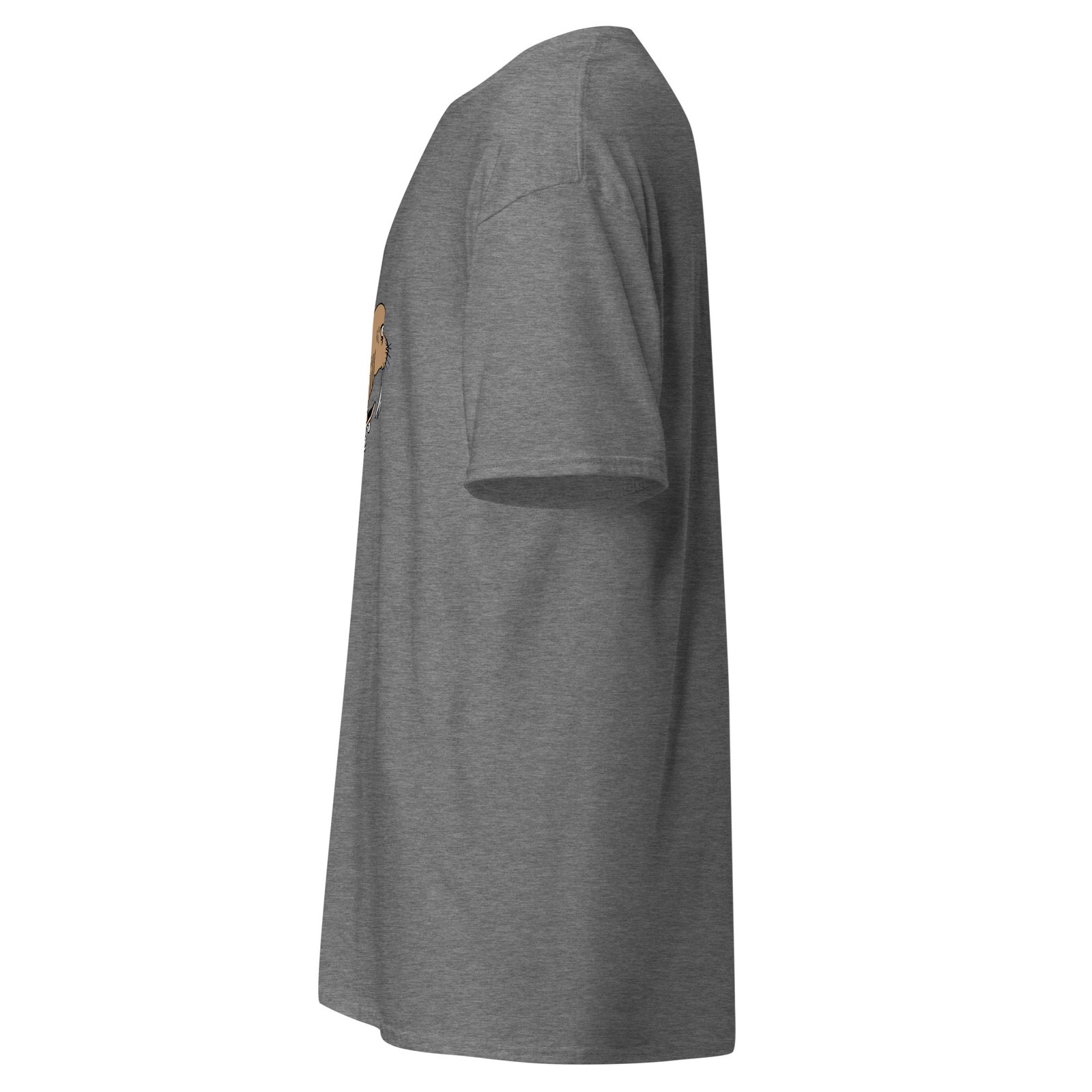 unisex-classic-tee-graphite-heather-left-6a6fae3e49dcc.jpg