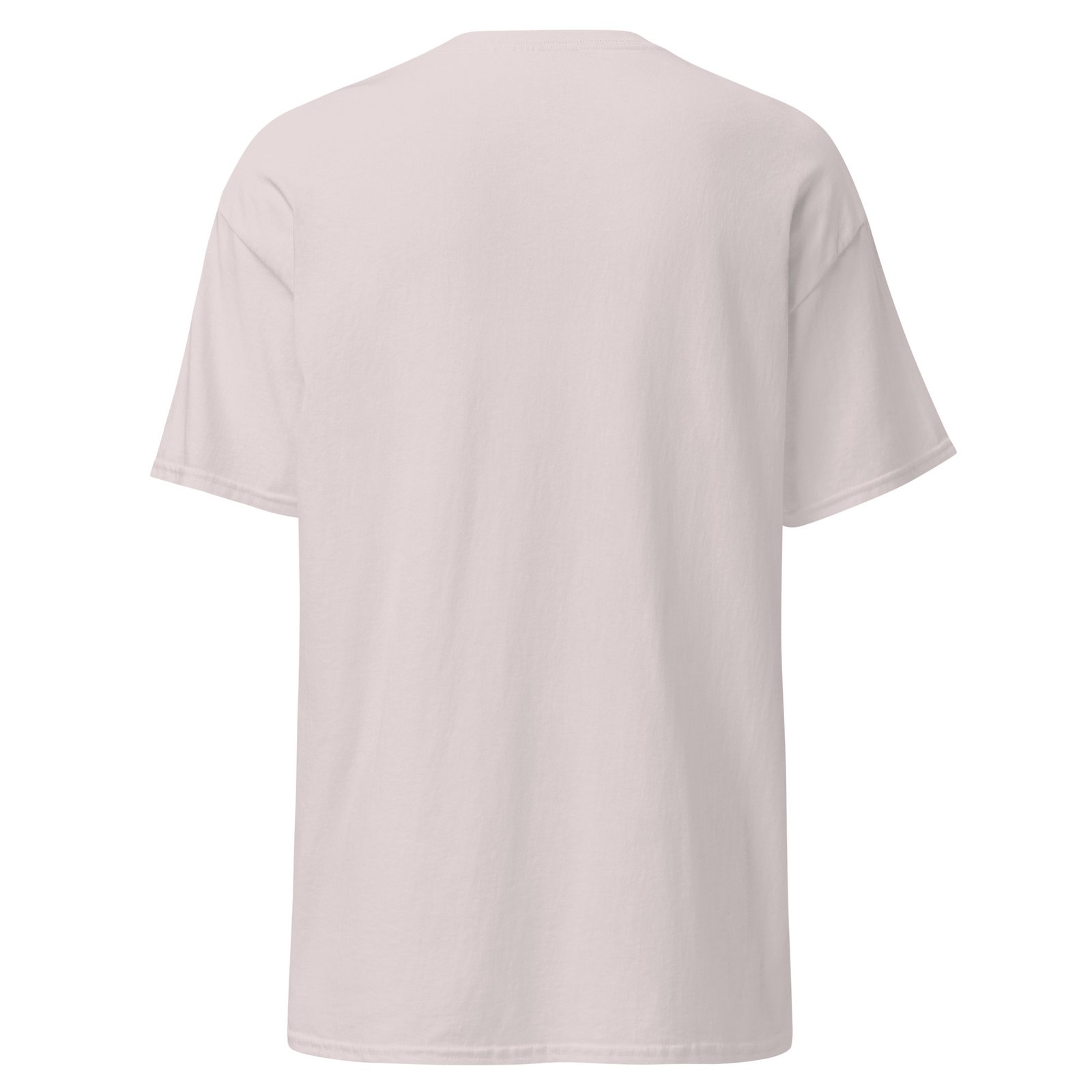 unisex-classic-tee-ice-grey-back-6a6fafd9cd06e.jpg