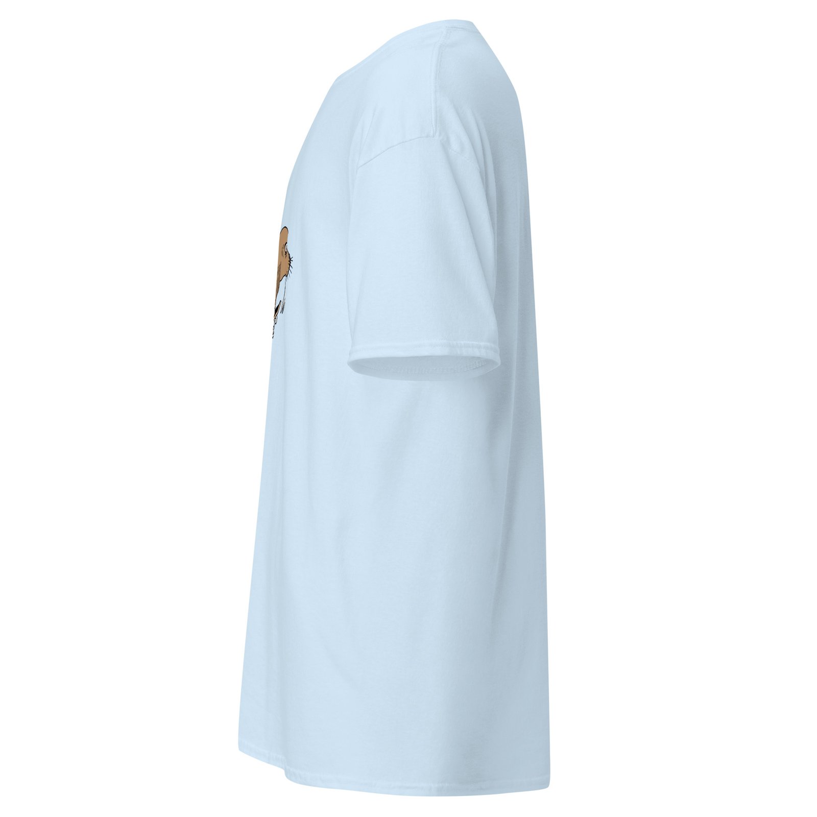 unisex-classic-tee-light-blue-left-6a6fae3e8933c.jpg