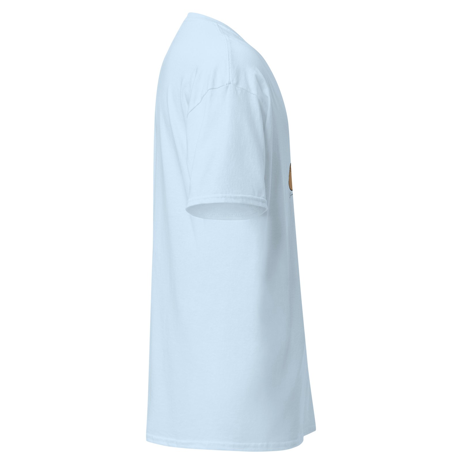 unisex-classic-tee-light-blue-right-6a6fae3e8c570.jpg