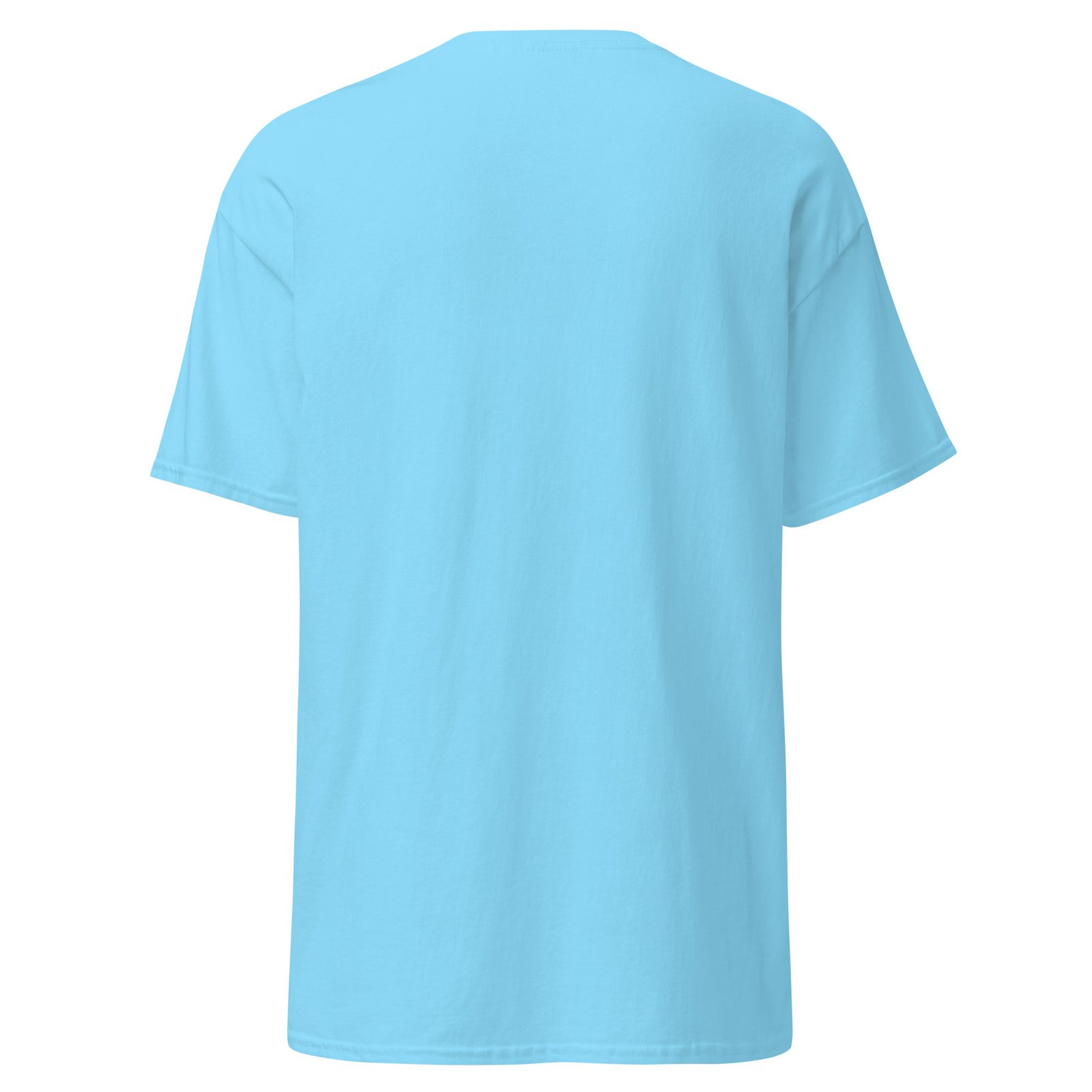 unisex-classic-tee-sky-back-6a6fae3e694d9.jpg