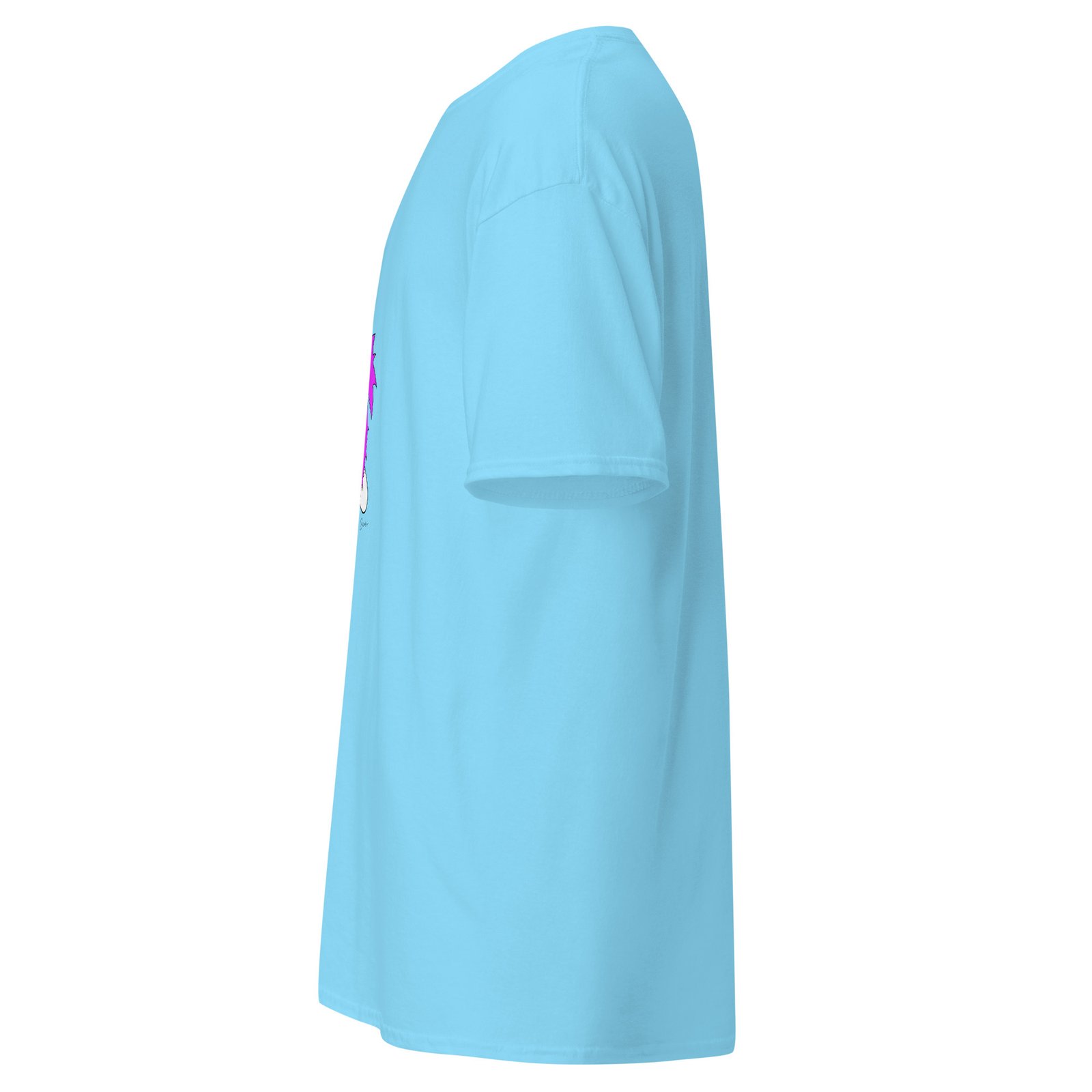 unisex-classic-tee-sky-left-6a6fafd9bc488.jpg