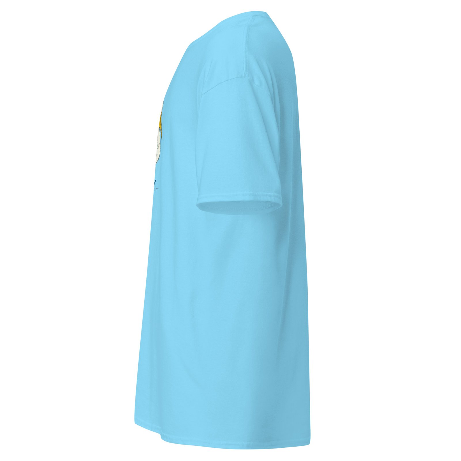 unisex-classic-tee-sky-left-6a71234c38cf2.jpg