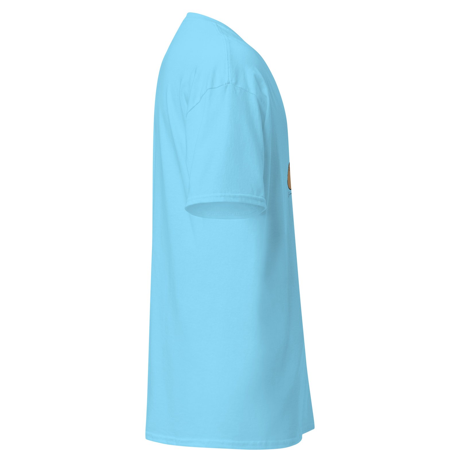 unisex-classic-tee-sky-right-6a6fae3e6d600.jpg