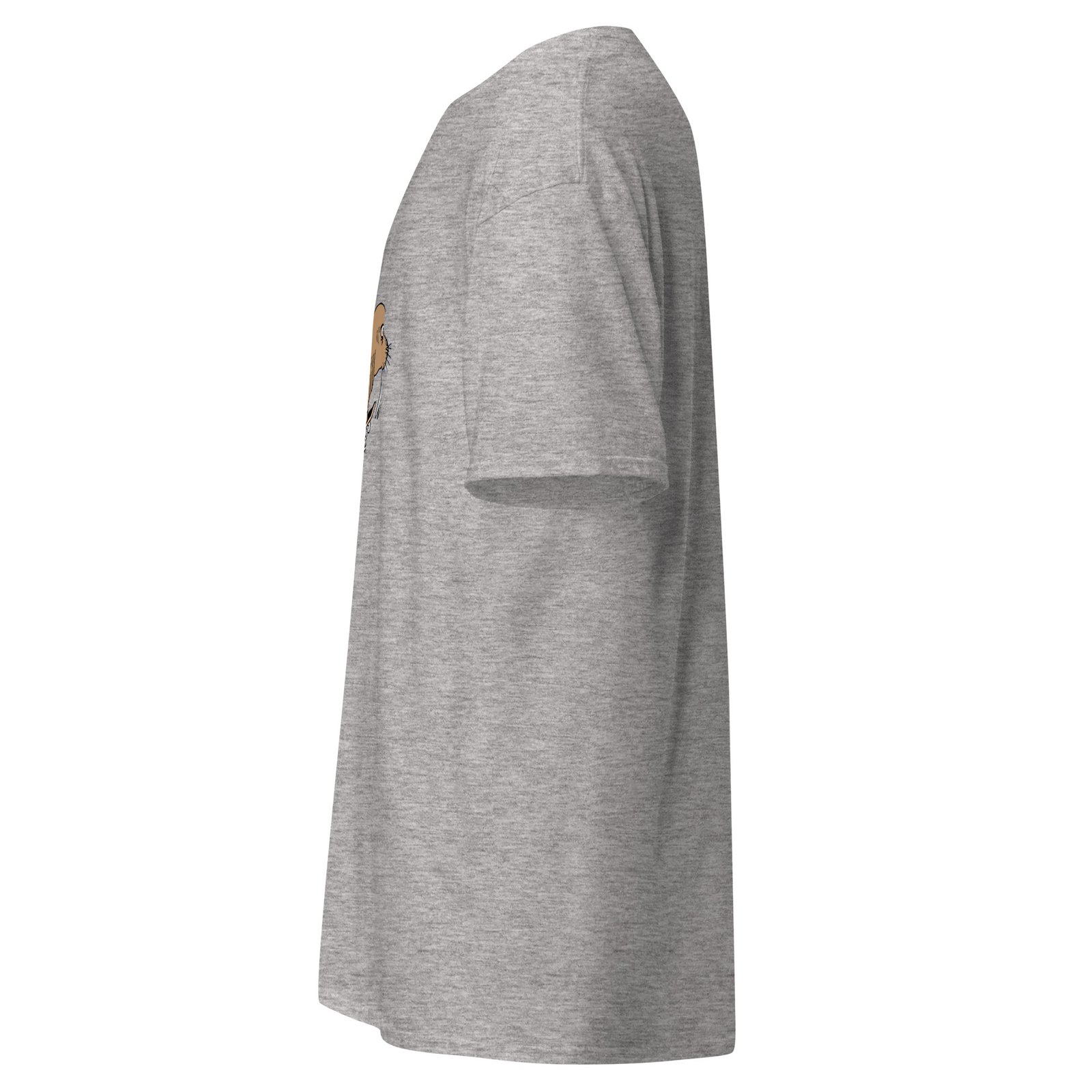 unisex-classic-tee-sport-grey-left-6a6fae3e5d0ac.jpg