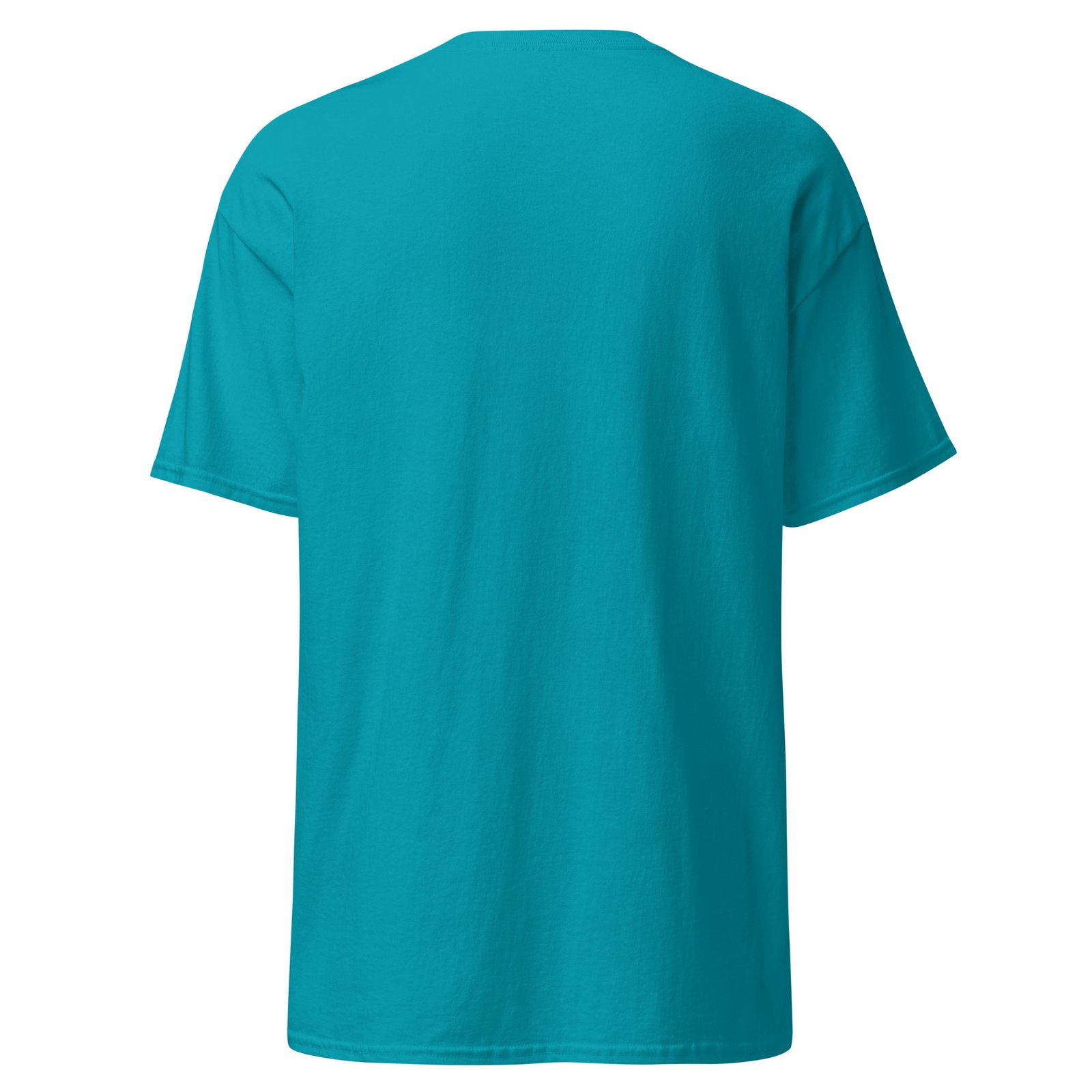 unisex-classic-tee-tropical-blue-back-6a6fae3e44ef9.jpg