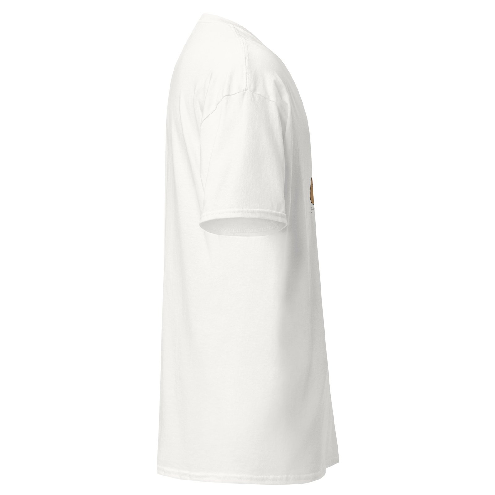 unisex-classic-tee-white-right-6a6fae3e98012.jpg