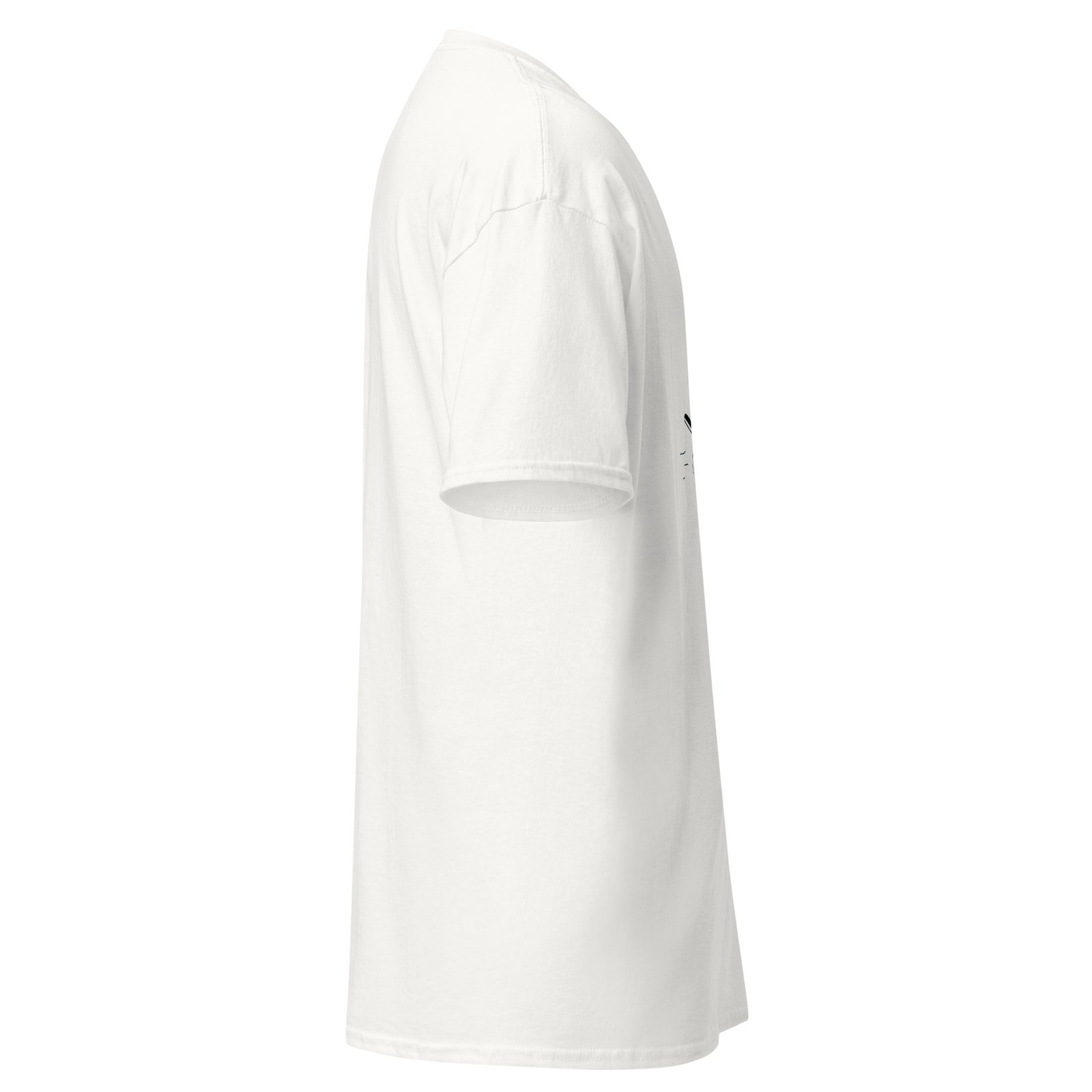 unisex-classic-tee-white-right-6a6faf01a226b.jpg